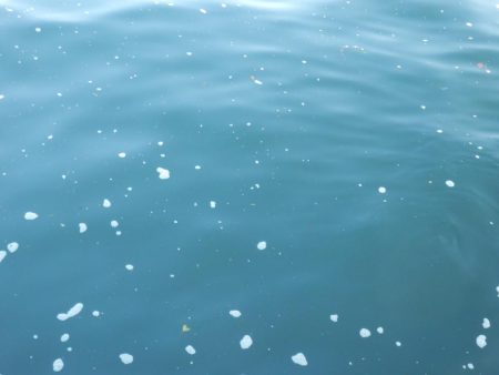 エソ‼ESO‼えそ‼